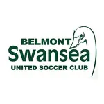 Belmont Swansea logo de equipe