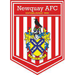 Newquay logo de equipe
