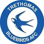 Trethomas Bluebirds Team Logo
