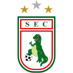 Sousa Team Logo