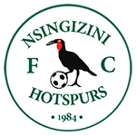 Nsingizini Hotspurs logo de equipe
