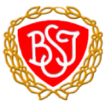 BSI Team Logo
