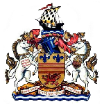 Barry Town United Logotipo del equipo