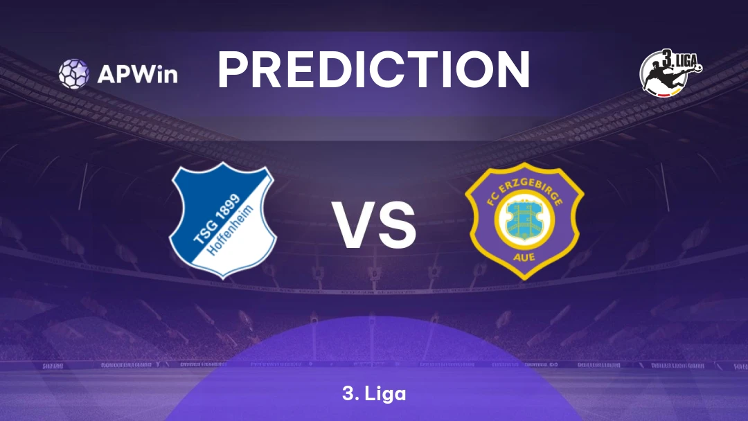 Hoffenheim II vs Erzgebirge Aue Thumbnail