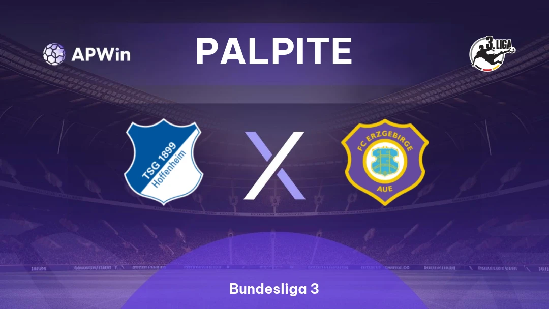 Hoffenheim II x Erzgebirge Aue Thumbnail