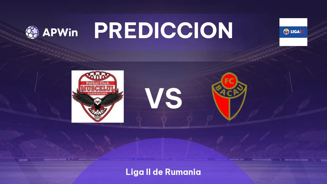 Muscelul Câmpulung Elite vs FC Bacău Thumbnail