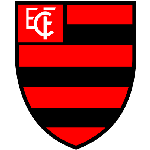 Flamengo-PI Logo