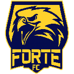 Forte-ES Sub-20 logo de equipe