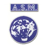Venissieux logo