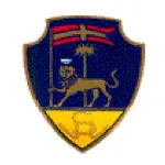 Viterbese Calcio logo