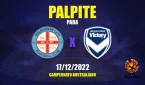 Palpite Melbourne City FC x Melbourne Victory FC: 17/12/2022 - 8ª rodada Campeonato Australiano