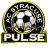 Syracuse Pulse logo