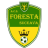 Foresta Suceava logo de equipe