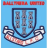 Ballymena Allstars logo de equipe