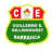 Billinghurst Team Logo