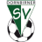 Dornbirner SV logo de equipe