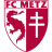 Metz II logo