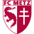 Metz W Team Logo