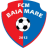 FCM Baia Mare logo de equipe