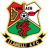 Llanelli Town Team Logo