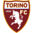 Torino Team Logo