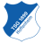 Hoffenheim Feminino logo