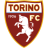 Torino Sub-20 logo de equipe