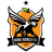 Nova Iguaçu U20 Team Logo