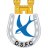 Dungannon Swifts U20 Team Logo