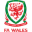 Wales W Team Logo
