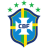Brazil Team Logo