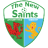 The New Saints Feminino logo de equipe