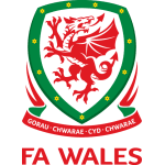 Wales W Team Logo