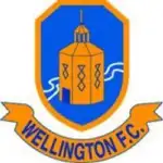 Wellington logo de equipe