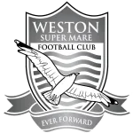 Weston-super-Mare Team Logo