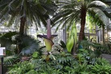 US Botanic Garden