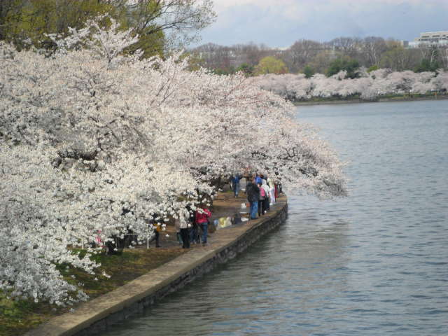 Jefferson Memorial Tour – Nonpartisan Pedicab