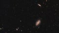 M81