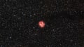 IC5146