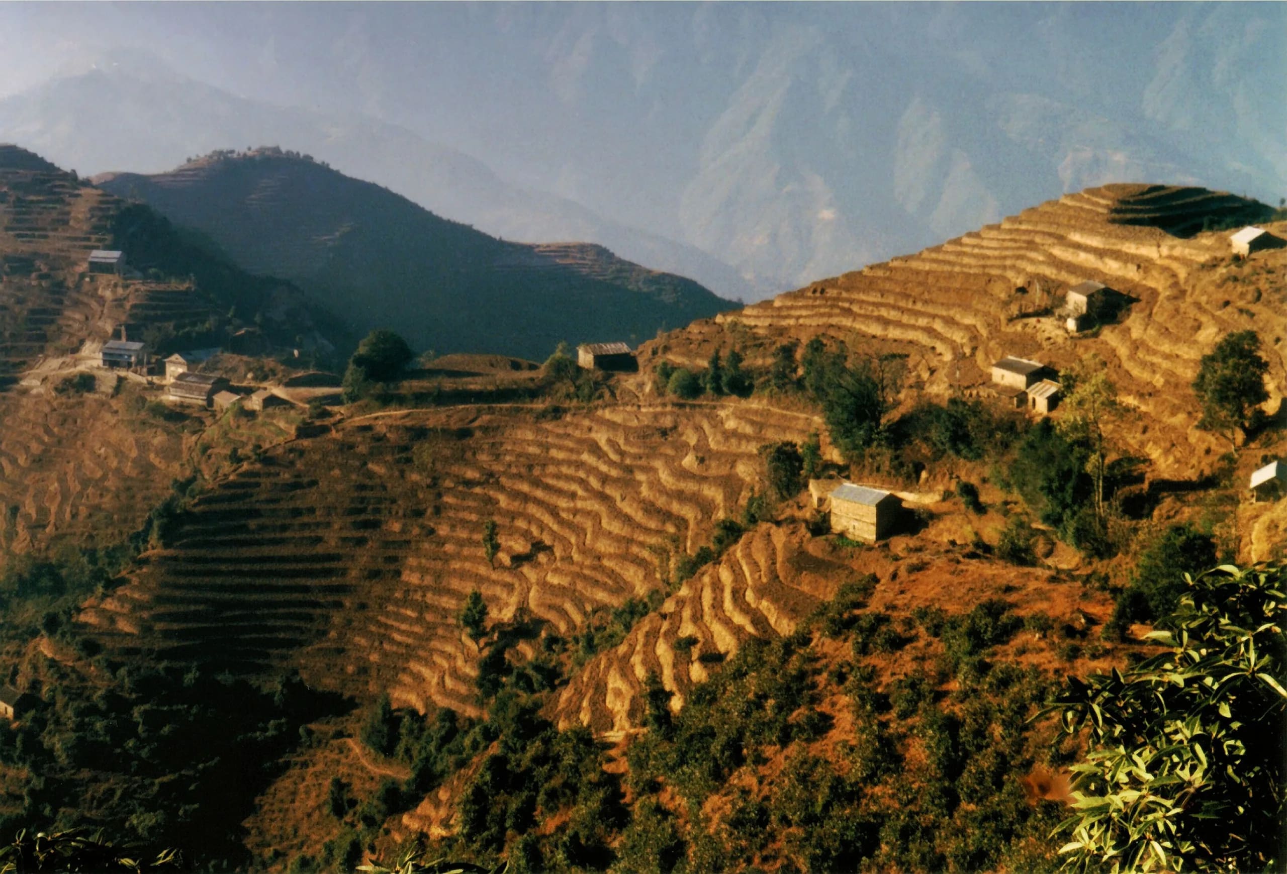 Palpa Valley Organic Farm Stay 1
