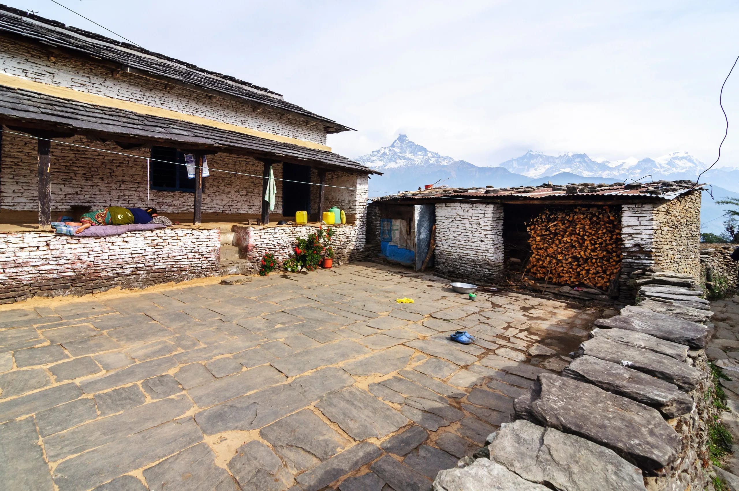 Ghandruk Rhododendron Forest House 1