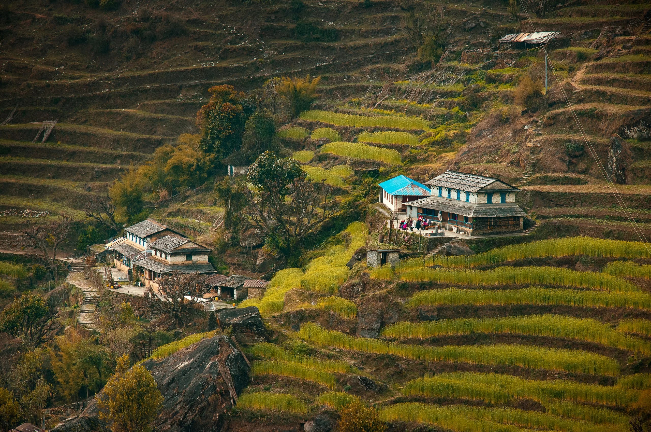 Gaurishankar Approach Rest House 2