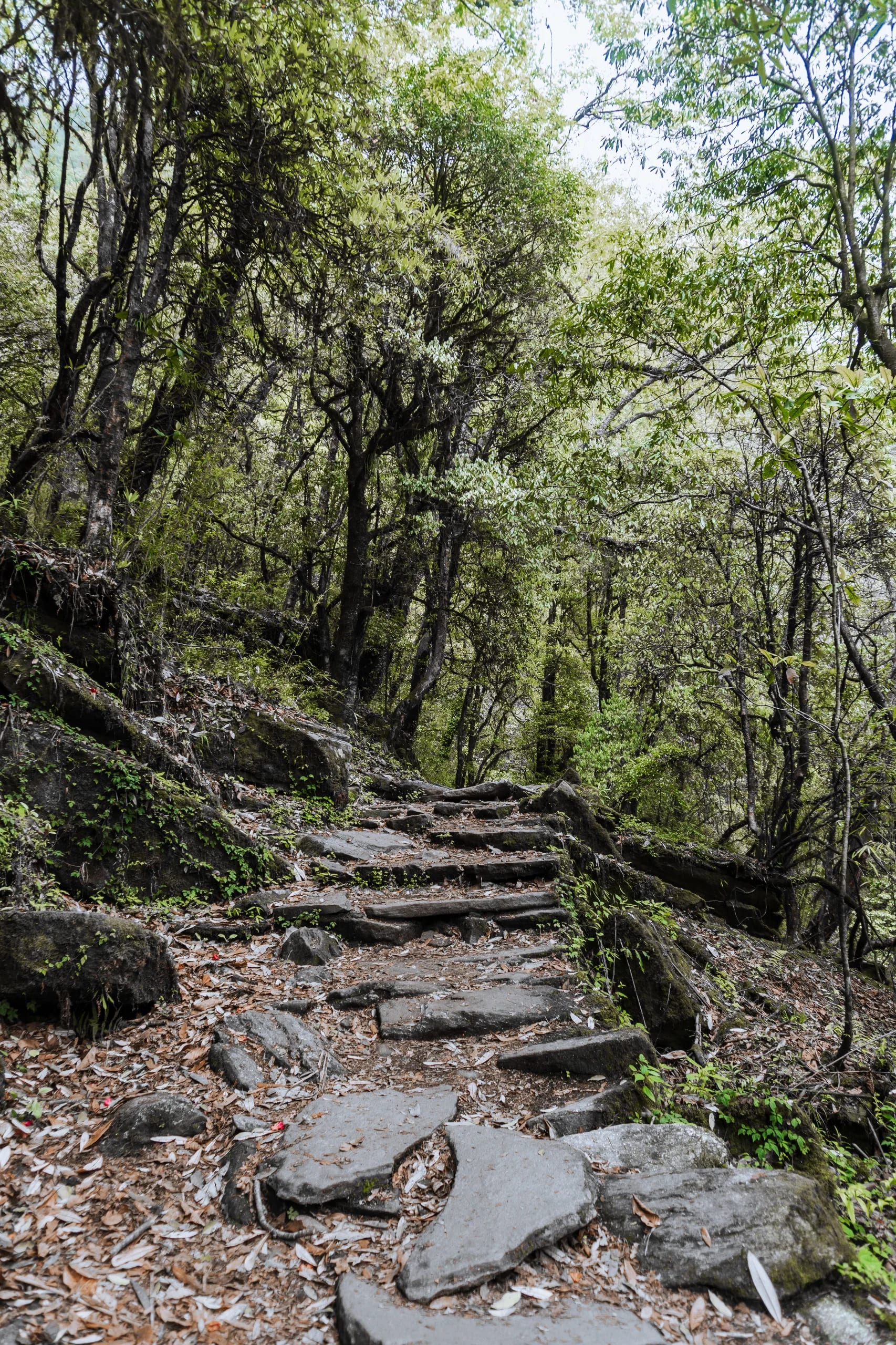 Ghandruk — Where the Mountains Teach You to Slow Down 2