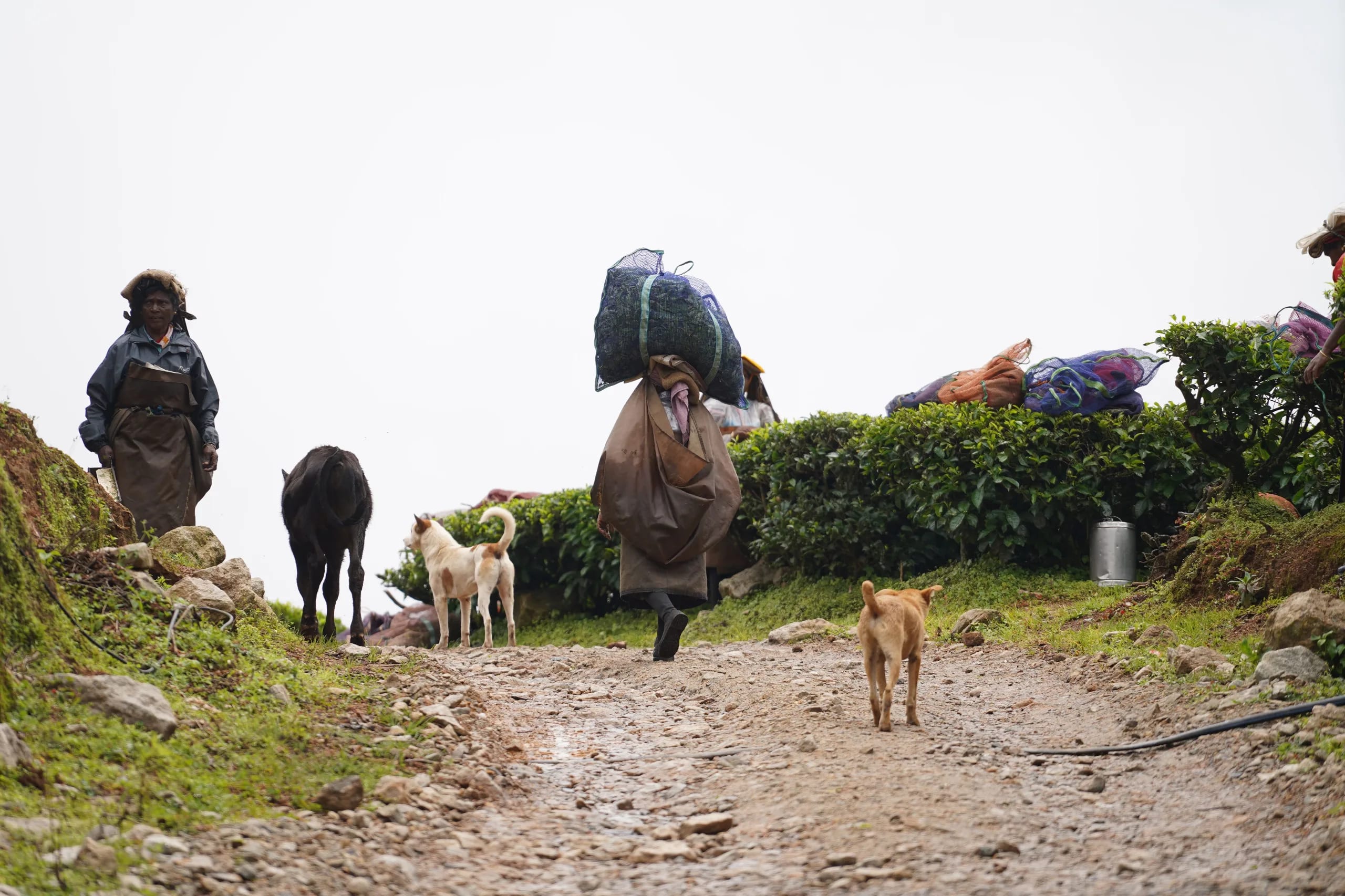 A Little About Our Home in Charikot 2