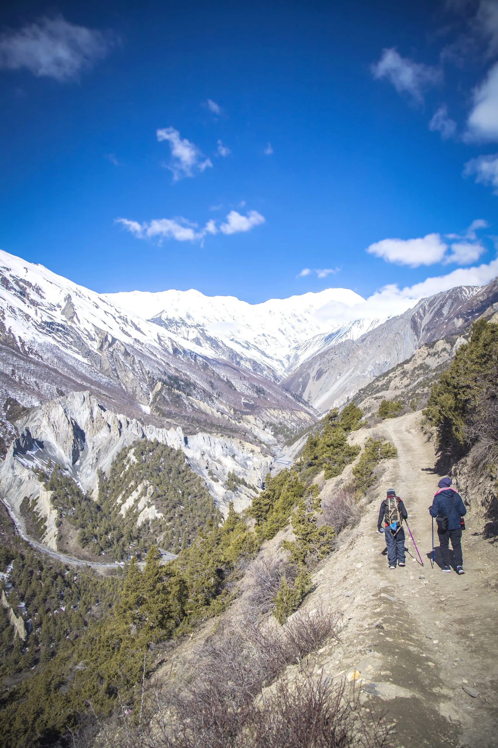 Walking Through Silence: A Slow Day in Manang 4