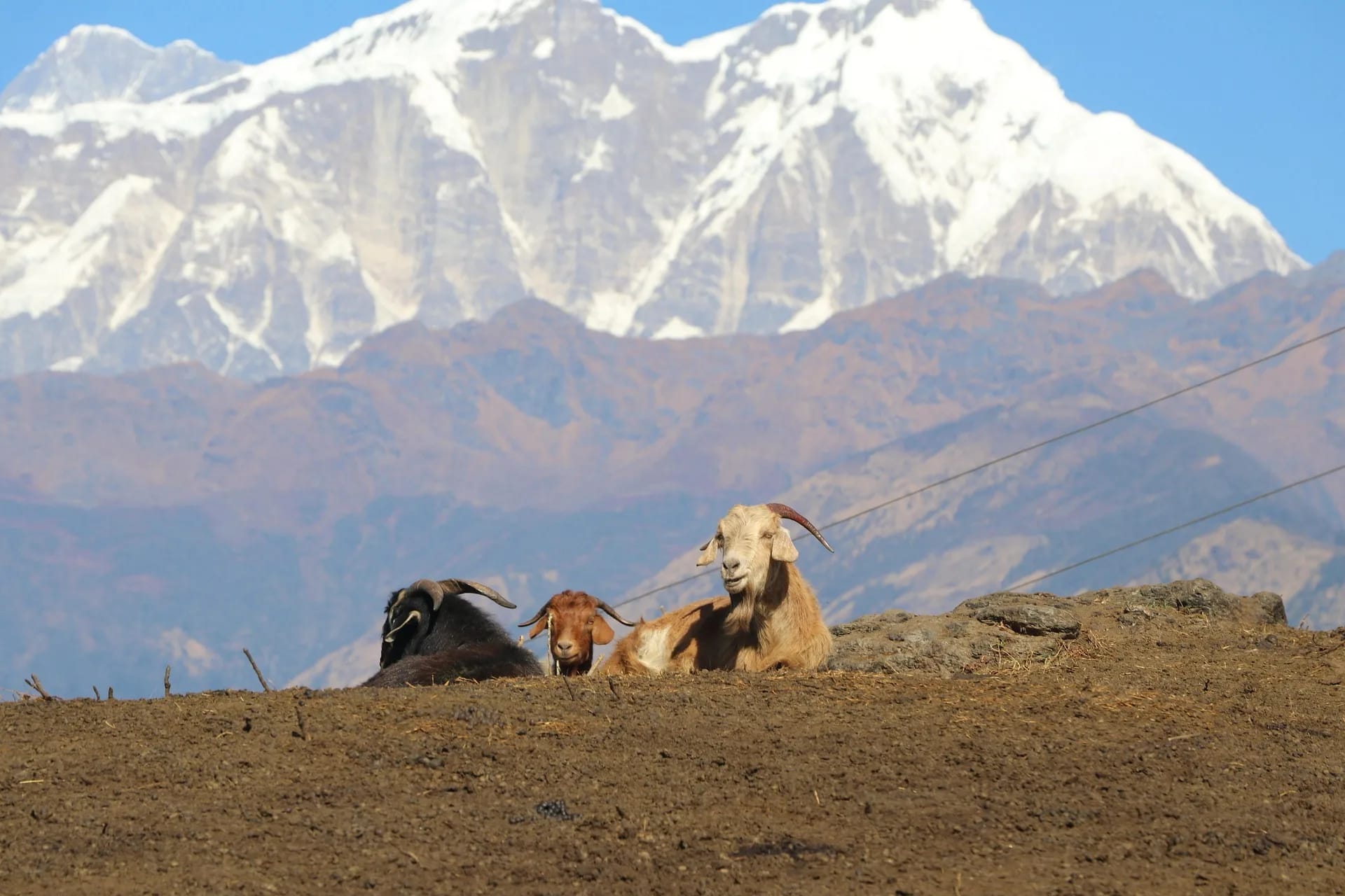 Life Above the Clouds: A Host’s Story from Ghalegaun 3
