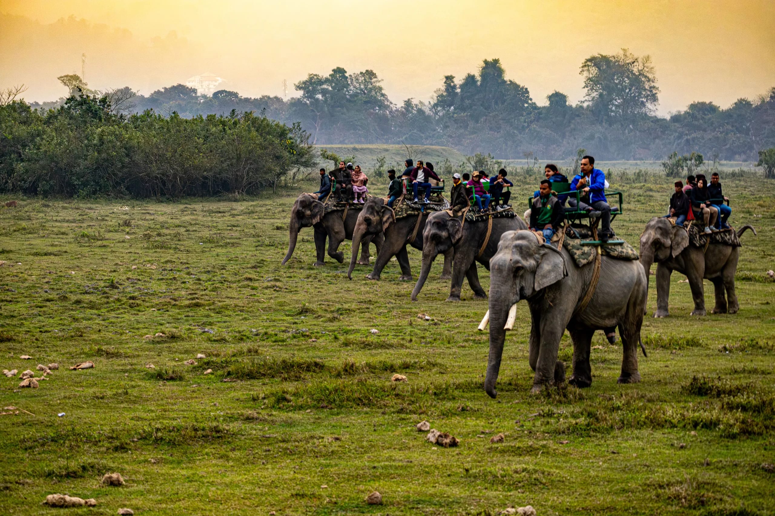 Into the Wild Heart of Sauraha: A Host’s Day with the Jungle 4
