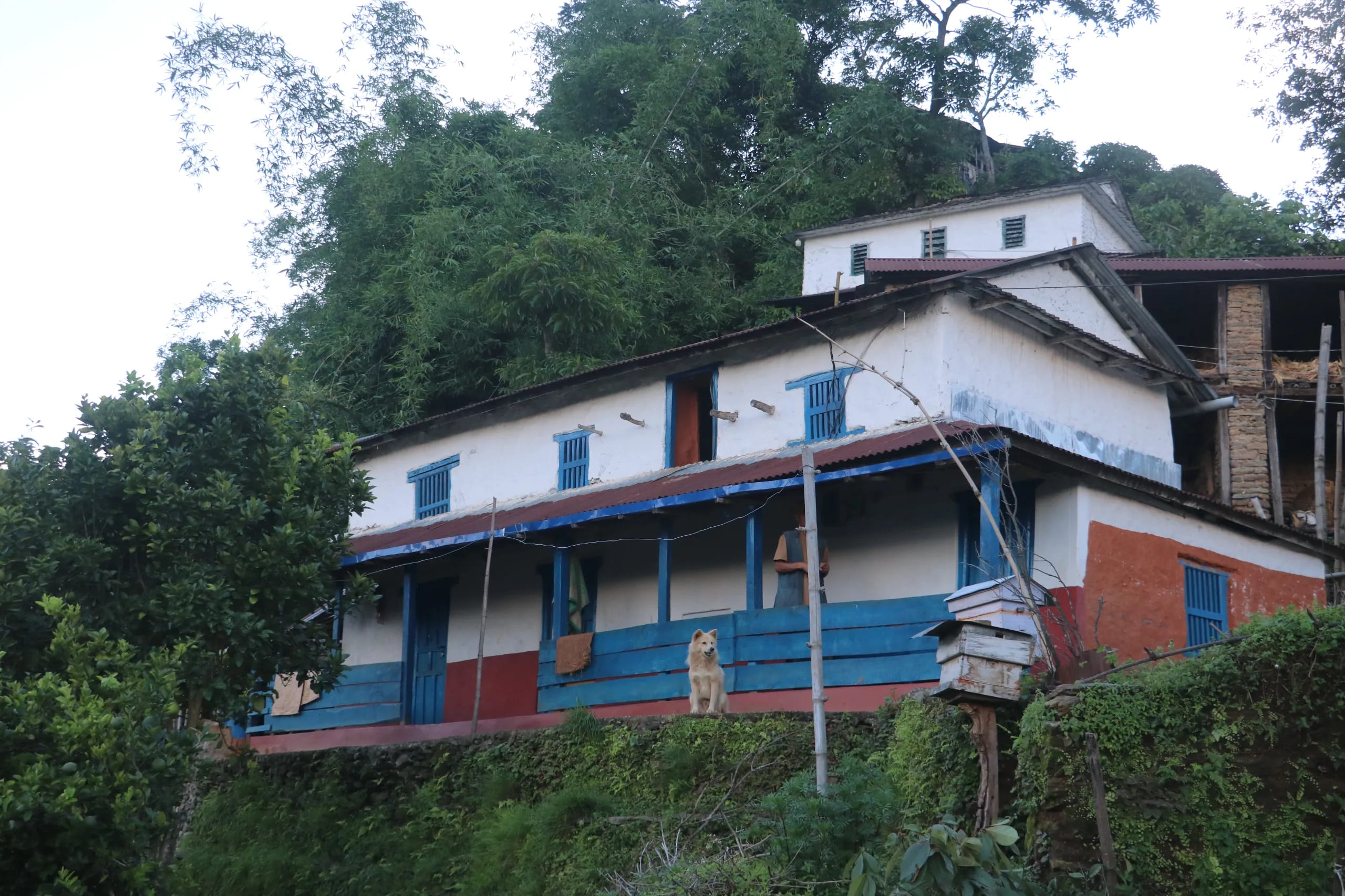 Gaurishankar View Heritage House 1