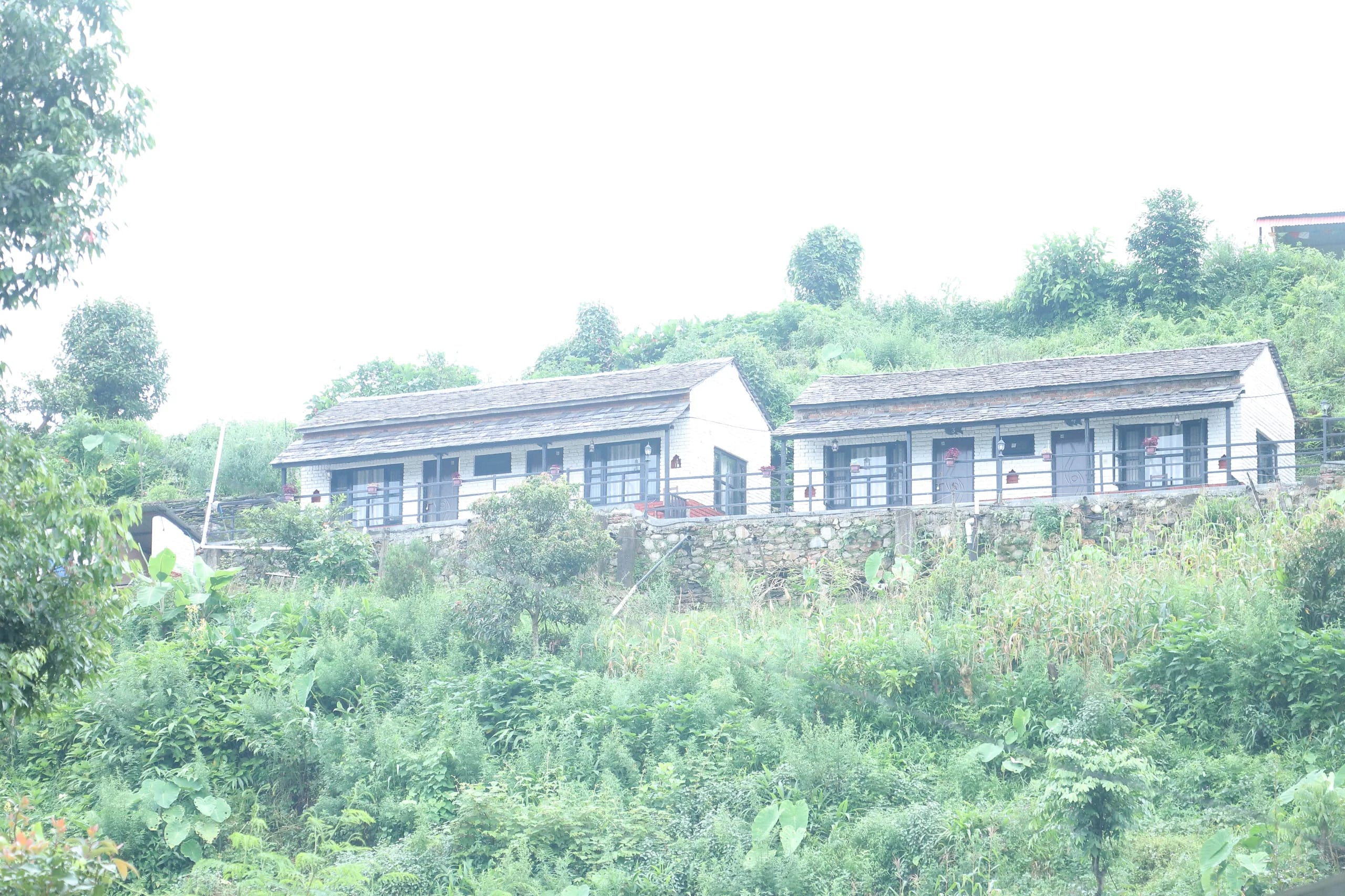 Tharu Heritage Longhouse Stay 1