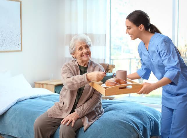 Professional care service